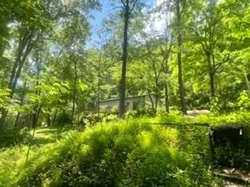 14584 Stump Run , Unit Lot 11, Laurelville, OH 43135 Photo 10