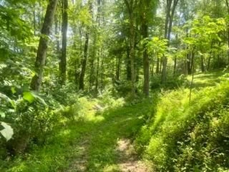 14584 Stump Run , Unit Lot 11, Laurelville, OH 43135 Photo 11