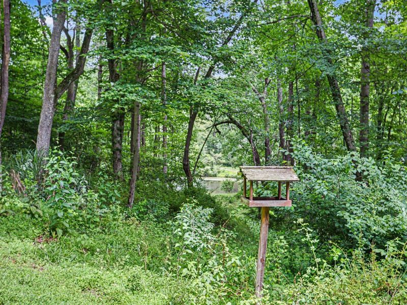 14584 Stump Run, Unit Lot 11, Laurelville, OH 43135 Photo 35
