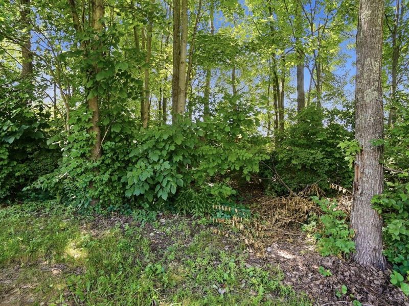 6020 Marsh Circle, Loveland, OH 45140 Photo 60