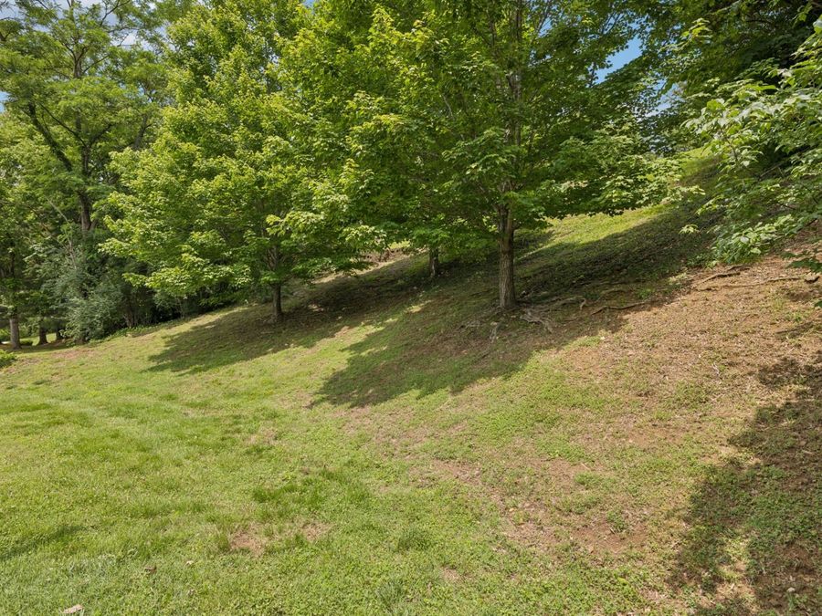 Property Image 50