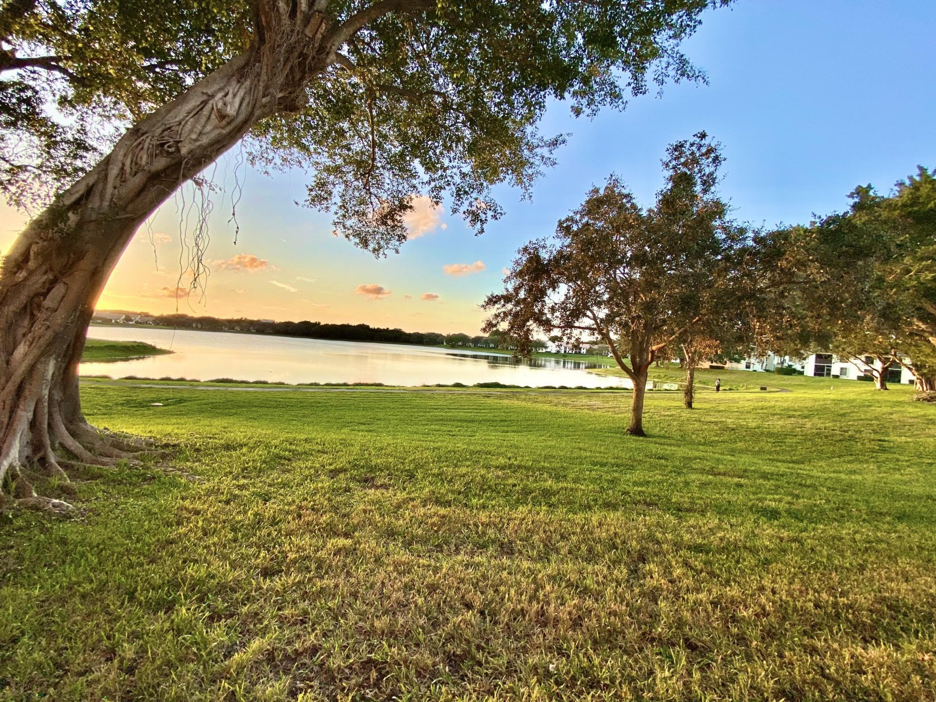 3151 Leewood Terrace, Unit L229, Boca Raton, FL 33431 Photo