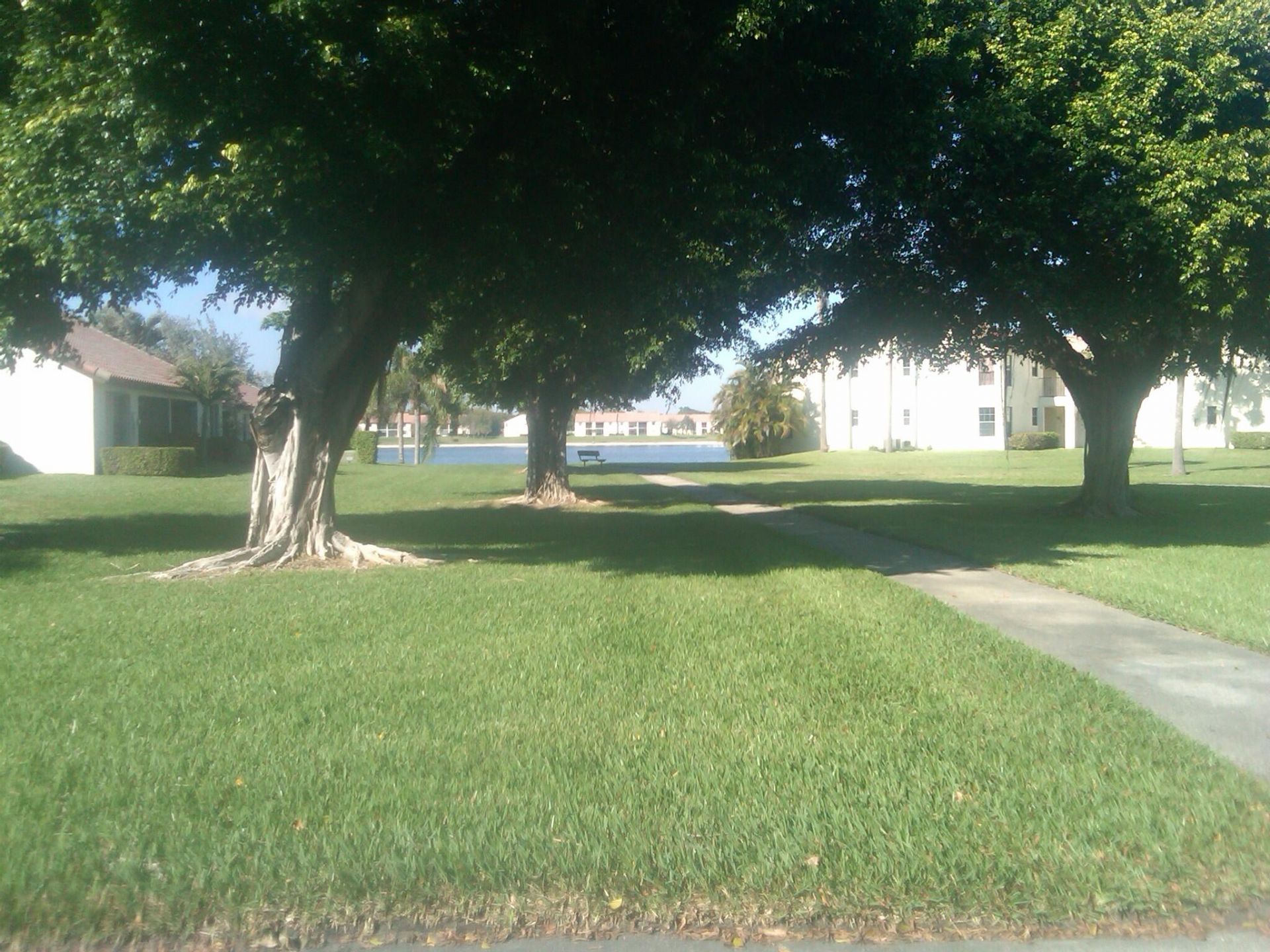 3151 Leewood Terrace, Unit L229, Boca Raton, FL 33431 Photo