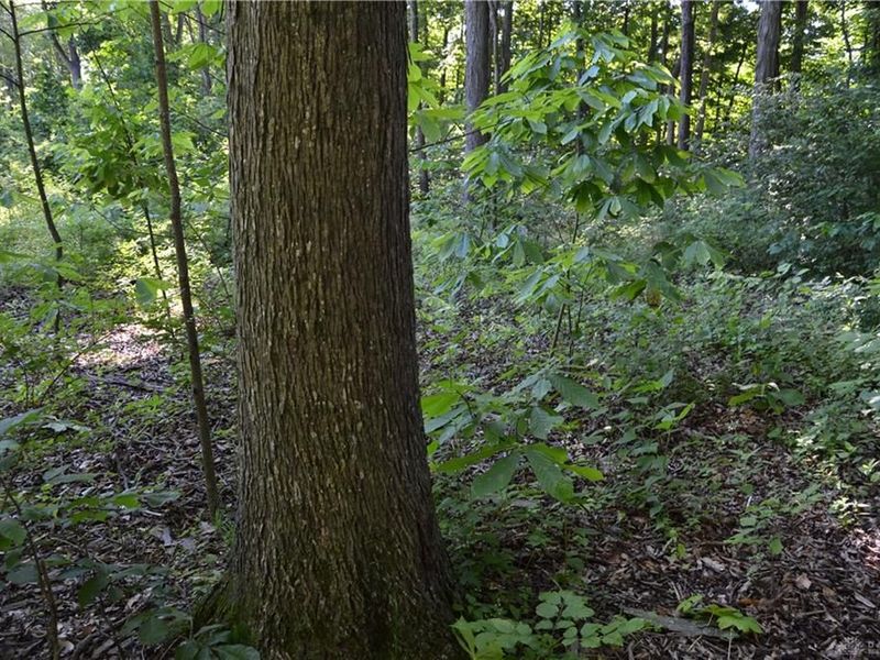 11 ac Case Road, Tate Township, OH 45157 Photo 10