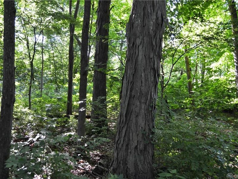 11 ac Case Road, Tate Township, OH 45157 Photo 12