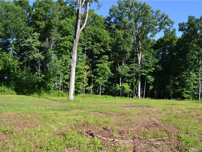 11 ac Case Road, Tate Township, OH 45157 Photo 18