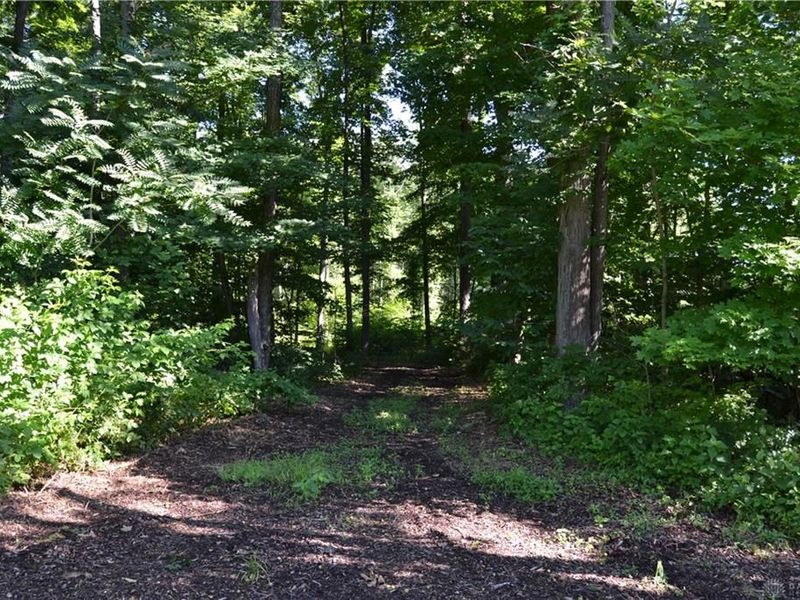 11 ac Case Road, Tate Township, OH 45157 Photo 19