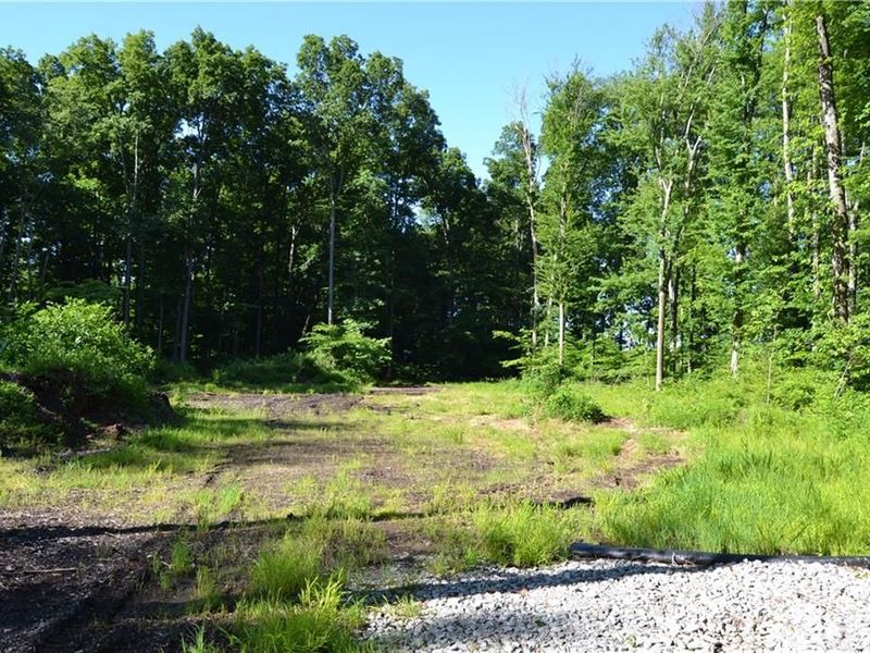 11 ac Case Road, Tate Township, OH 45157 Photo 6