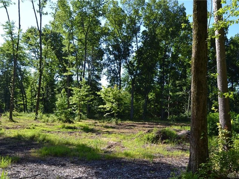 11 ac Case Road, Tate Township, OH 45157 Photo 7