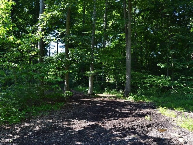 11 ac Case Road, Tate Township, OH 45157 Photo 8