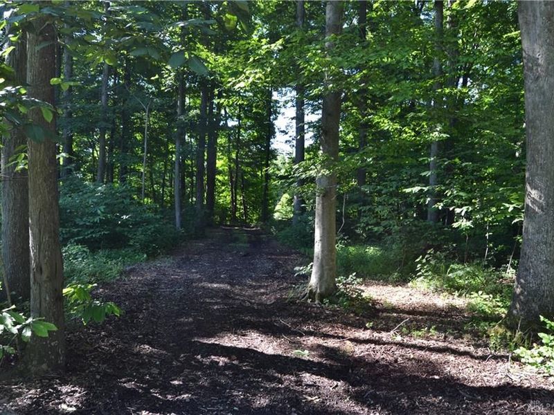 11 ac Case Road, Tate Township, OH 45157 Photo 9