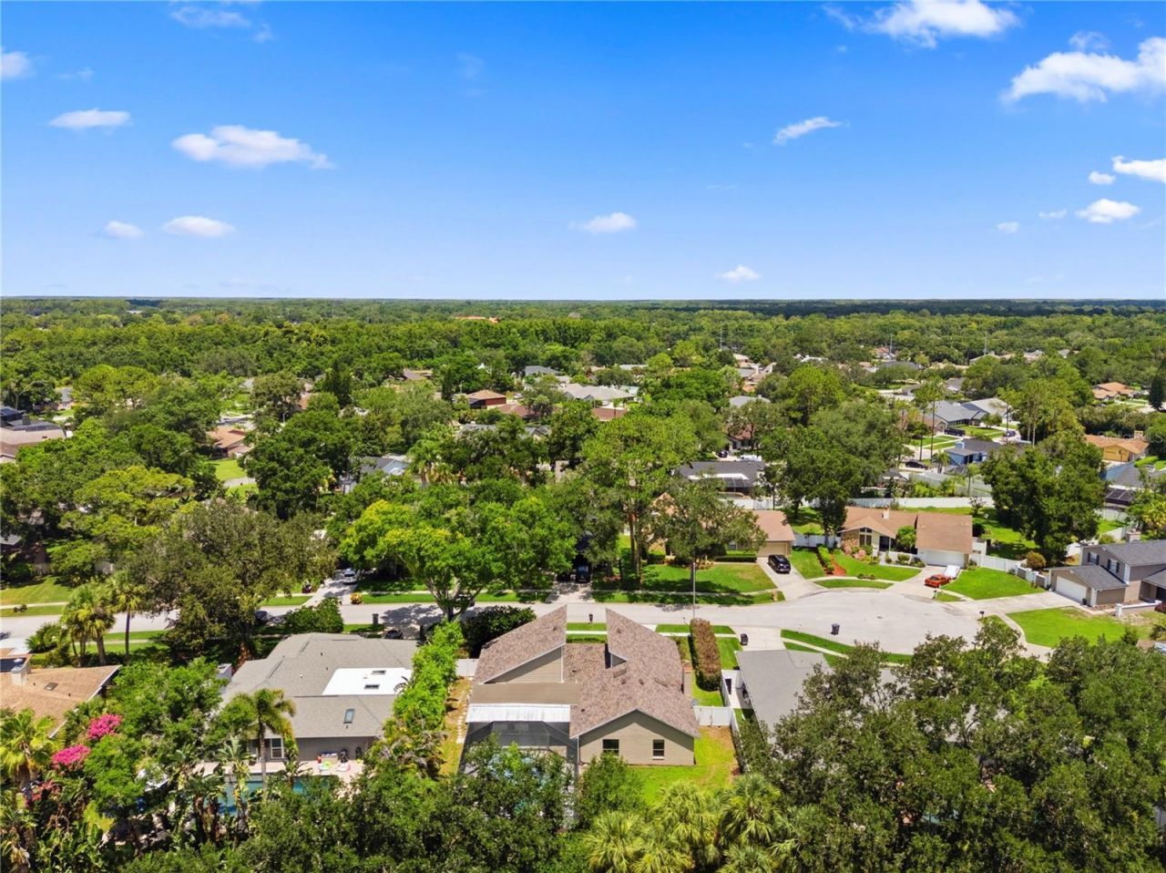 14207 Ashburn Place, Tampa, FL 33624 Photo
