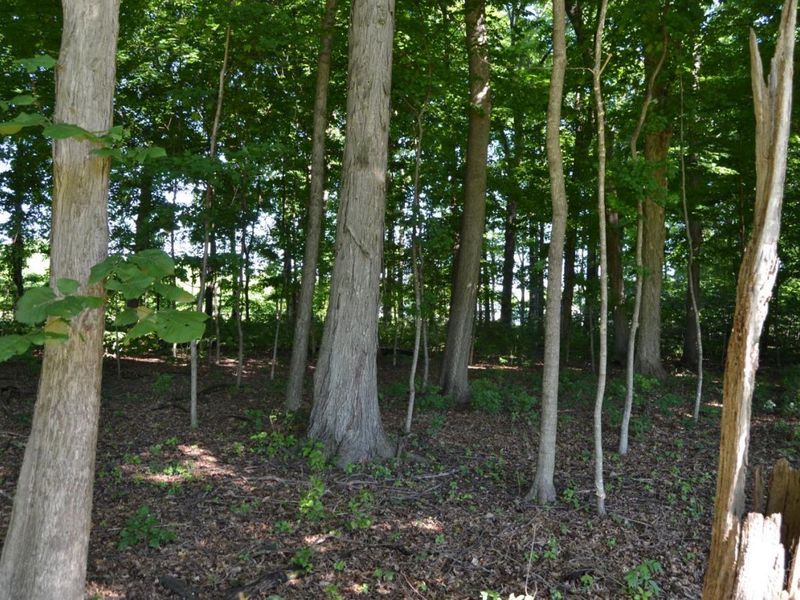 ac Case Road, Tate Twp, OH 45157 Photo 13