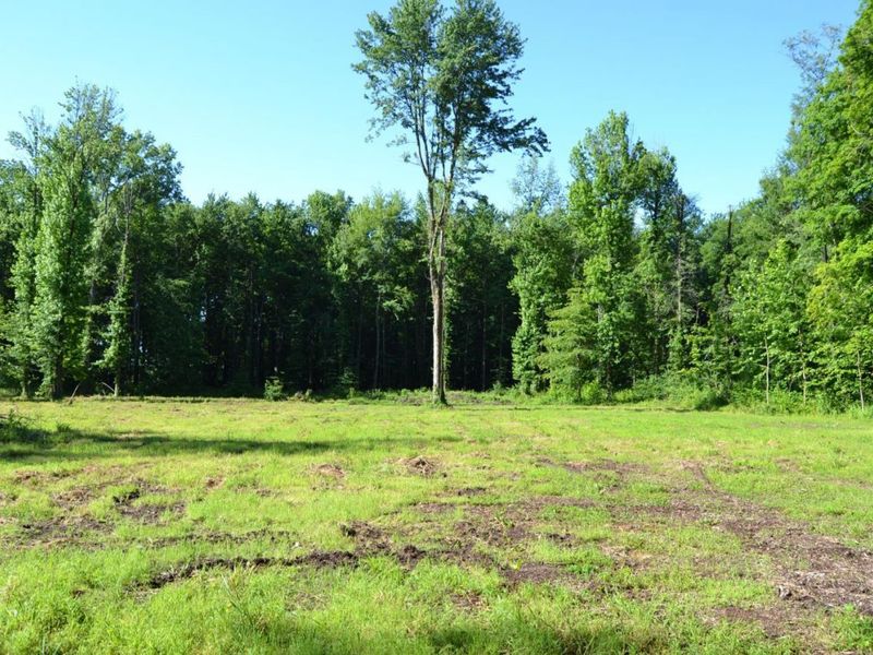 ac Case Road, Tate Twp, OH 45157 Photo 3