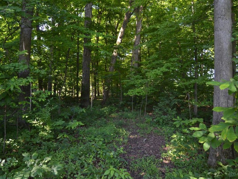 ac Case Road, Tate Twp, OH 45157 Photo 9