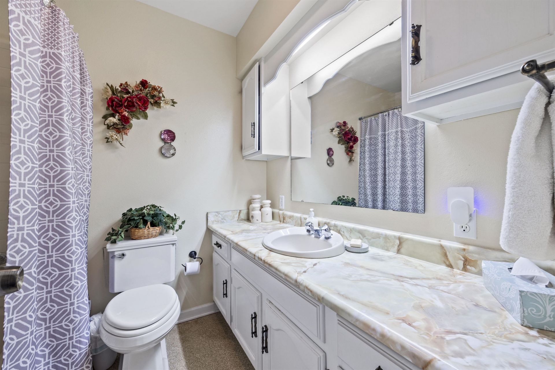 3854 NE Cr 255 , Lee, FL 32059 Photo