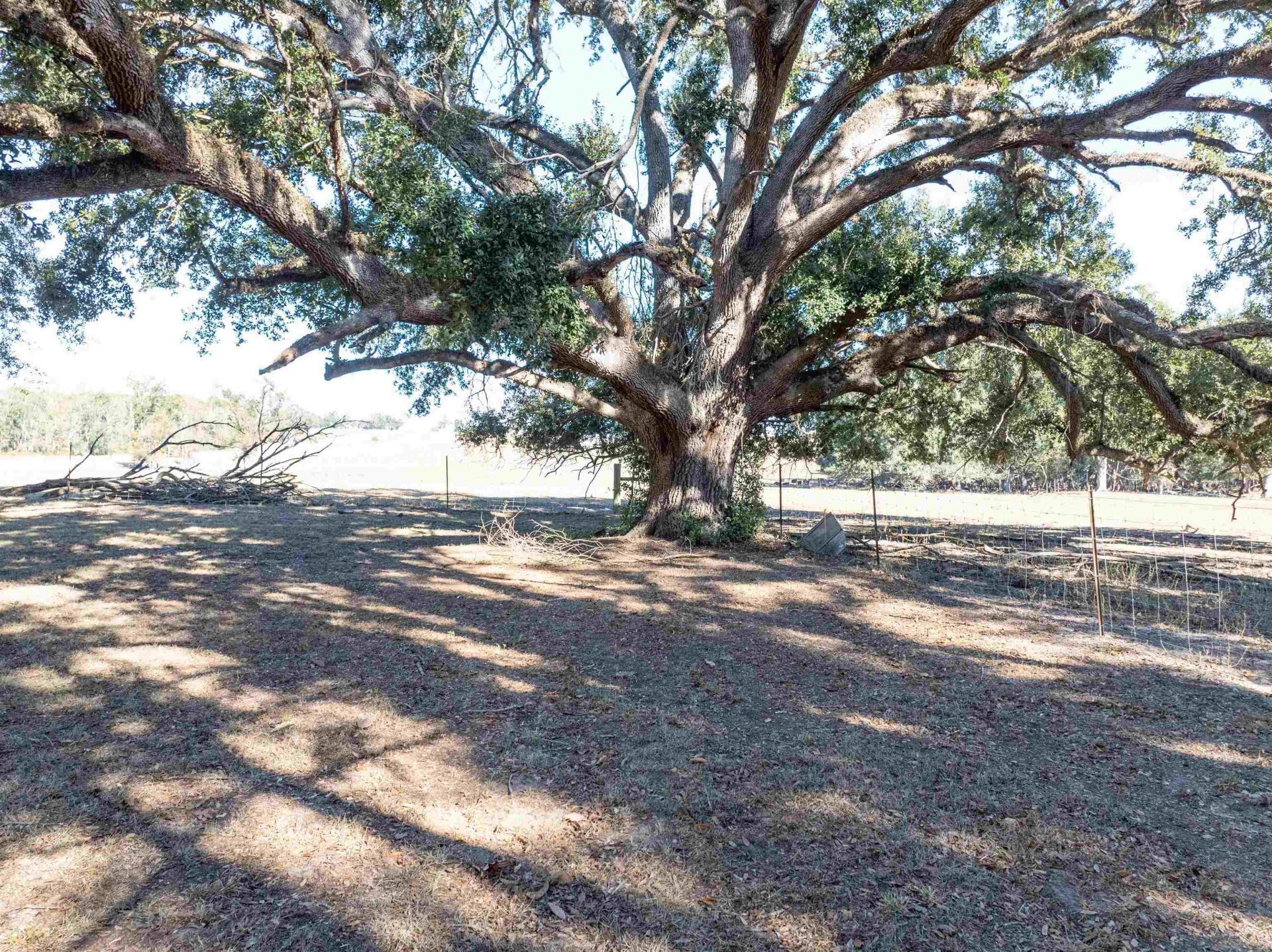 3854 NE Cr 255 , Lee, FL 32059 Photo
