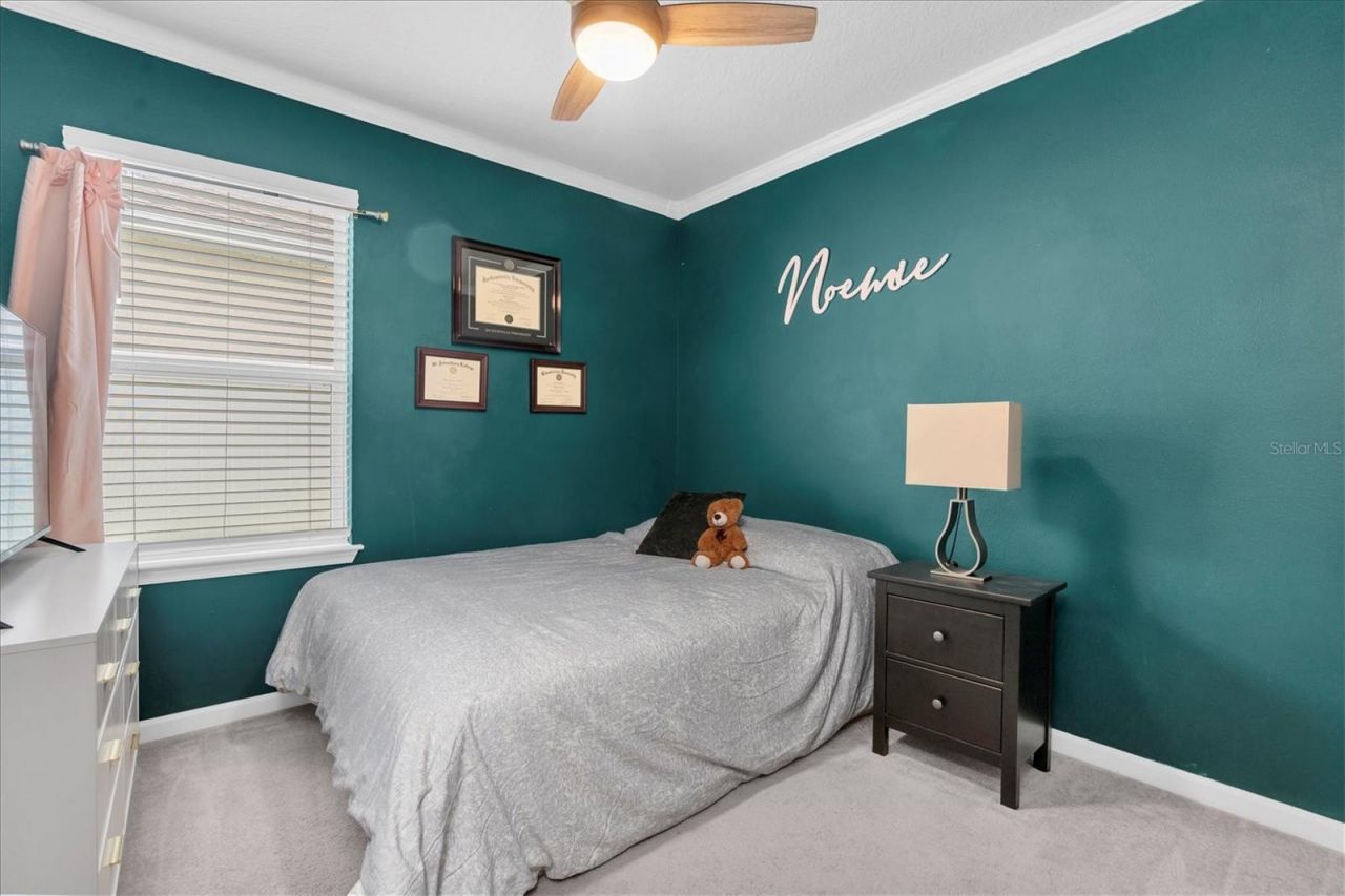 8867 Prairie Creek Drive , Trinity, FL 34655 Photo