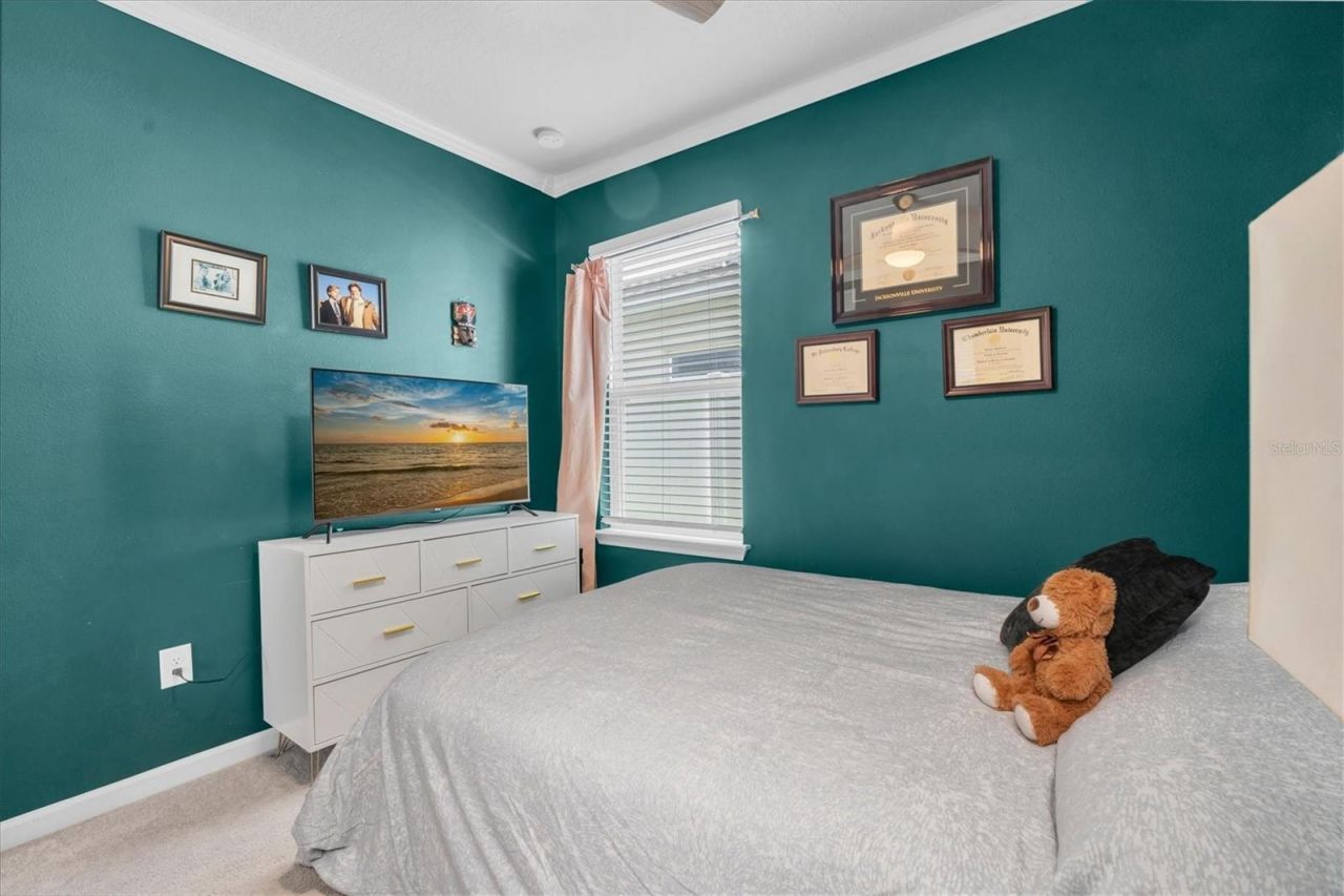 8867 Prairie Creek Drive , Trinity, FL 34655 Photo