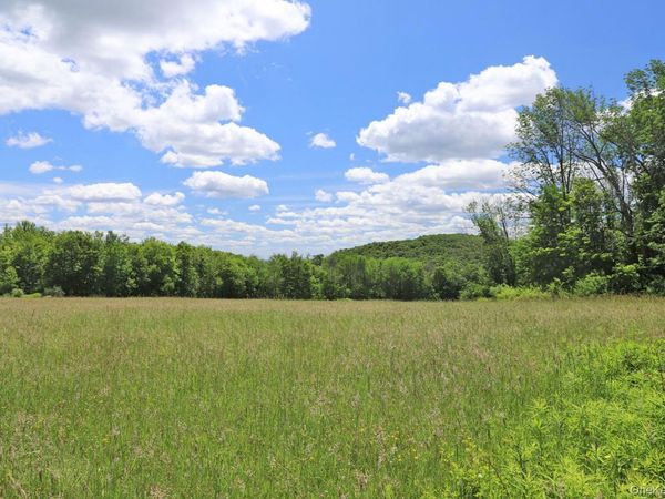 Dietz Road , Callicoon Center, NY 12724