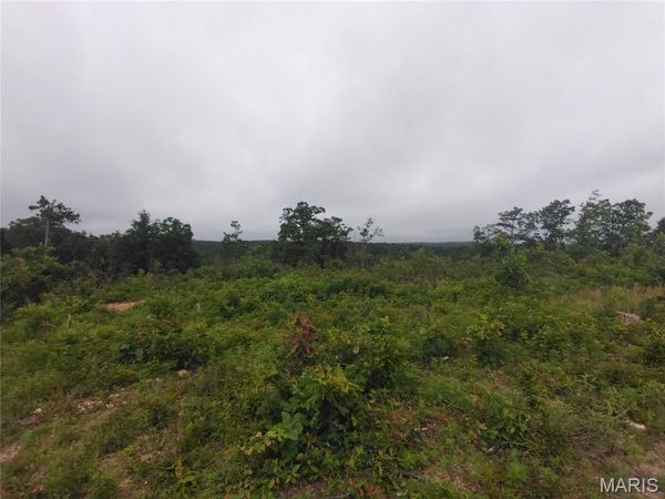 2 Off Hwy O , Belleview, MO 63623
