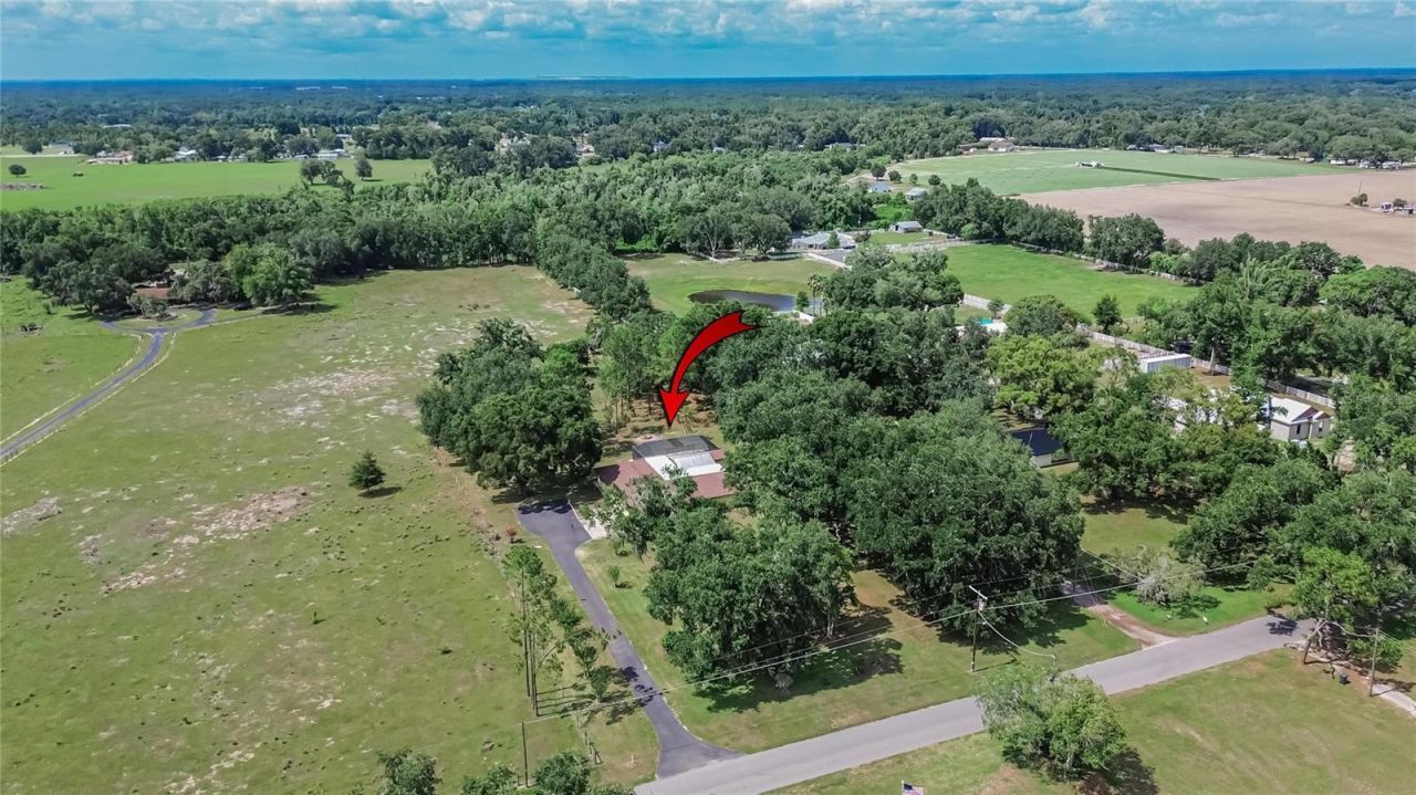 3708 Joe Sanchez Rd , Plant City, FL 33565 Photo