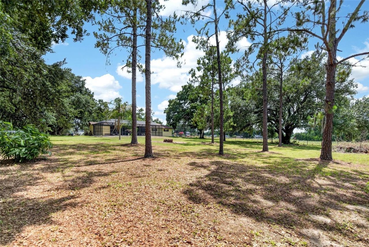 3708 Joe Sanchez Rd , Plant City, FL 33565 Photo
