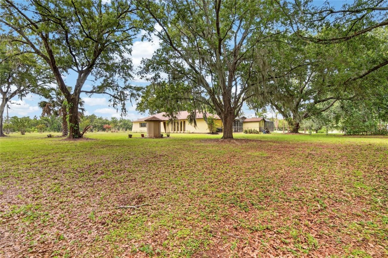 3708 Joe Sanchez Rd , Plant City, FL 33565 Photo
