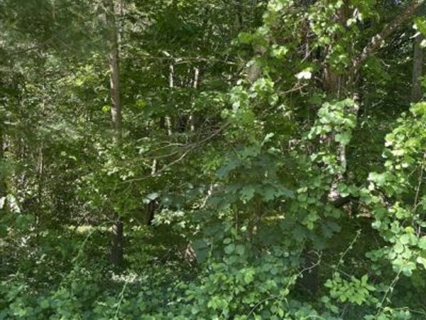 Lot A Ware Rd, Belchertown, MA 01007