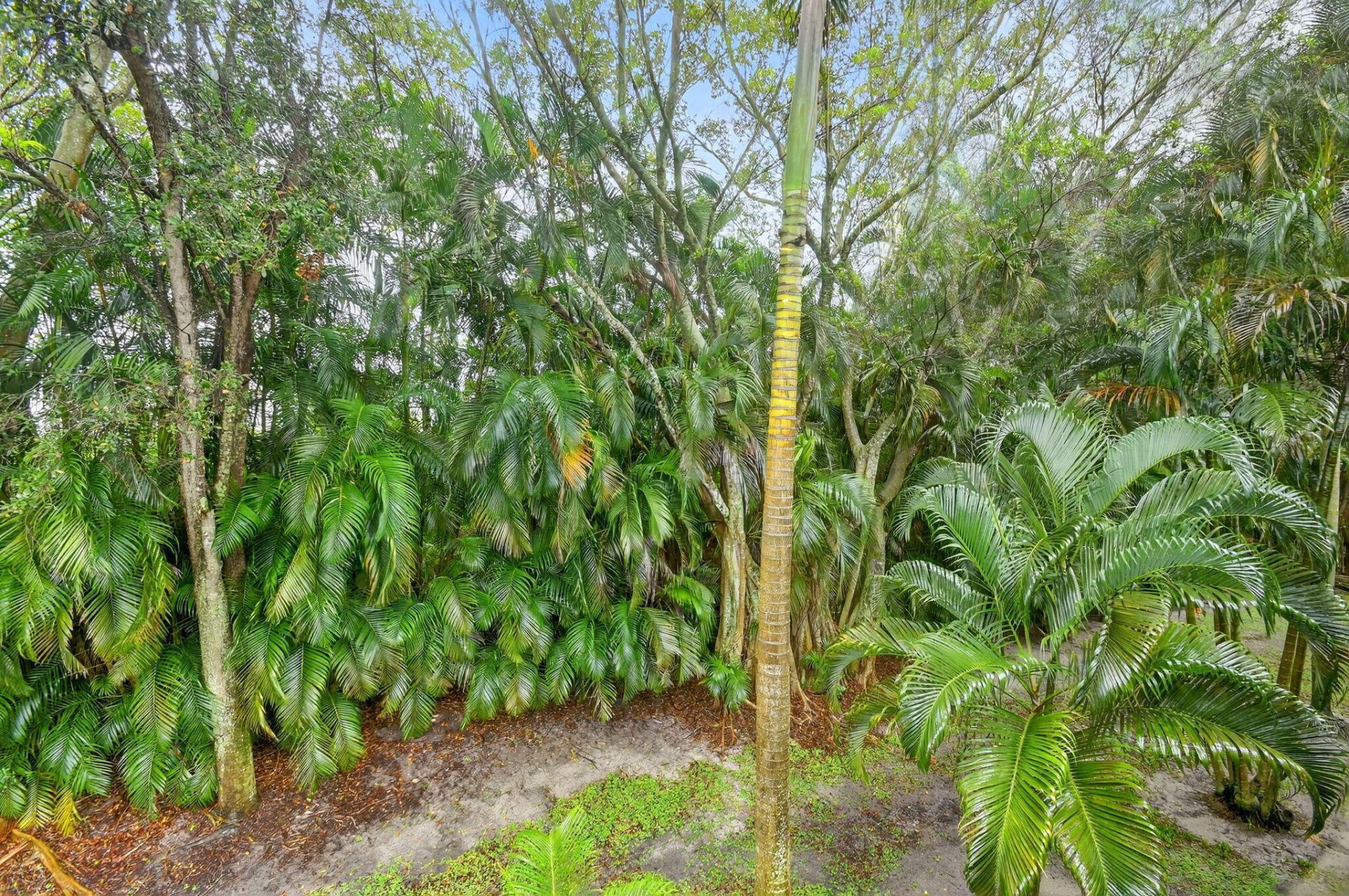 7910 Laina Lane, Unit 3, Boynton Beach, FL 33437 Photo