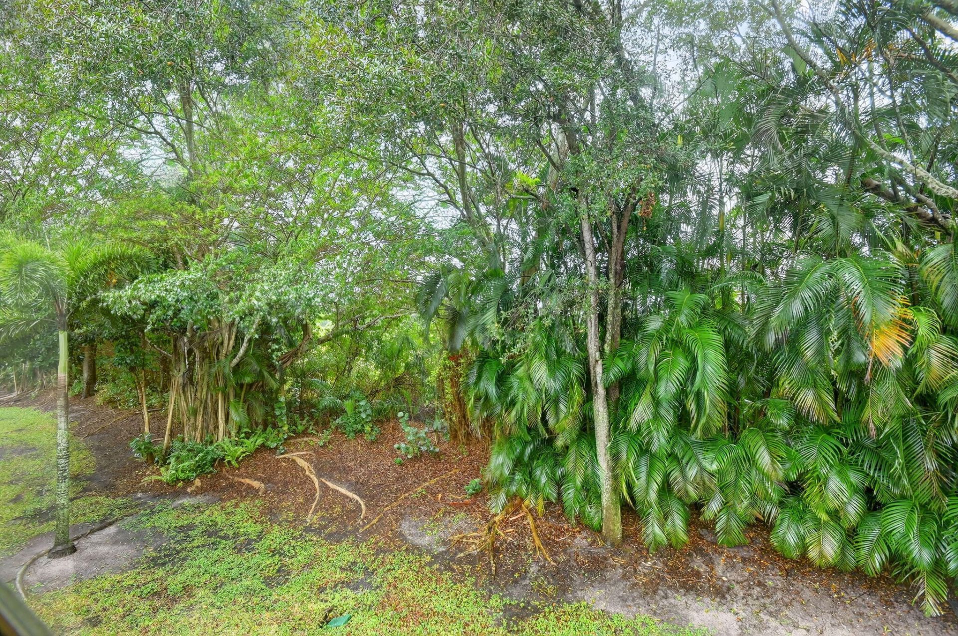 7910 Laina Lane, Unit 3, Boynton Beach, FL 33437 Photo