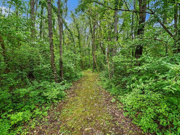 V/L Forest Shores Drive, Unit #9 Lot, Cassopolis, MI 49031
