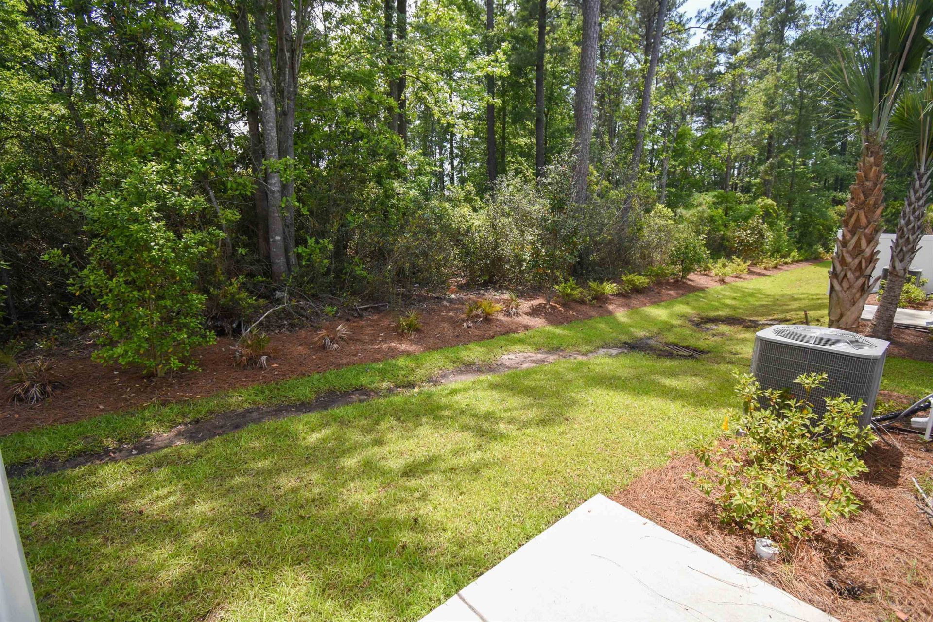 619 Golden Resin Rd  Photo 14