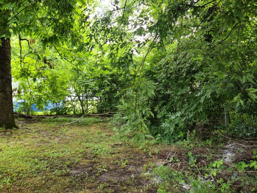 Property Image 84