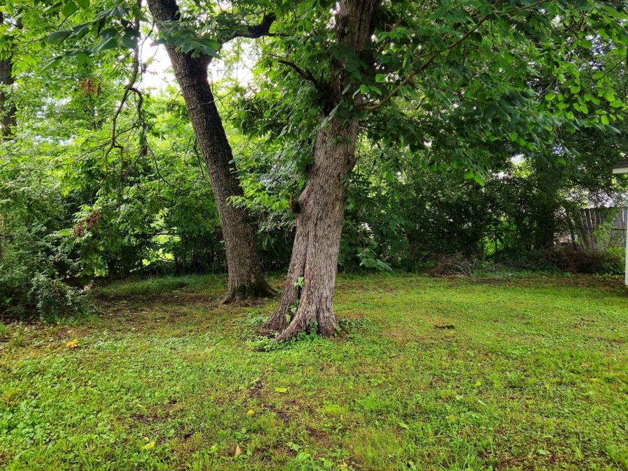Property Image 88
