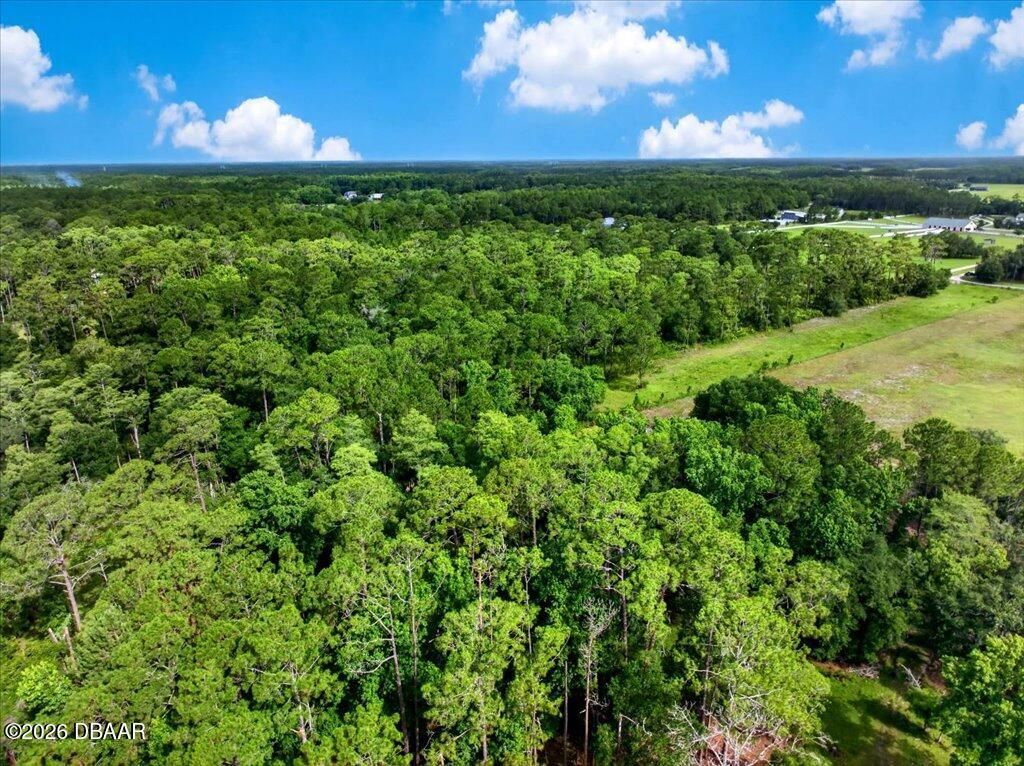 4600 Saddle Creek Run Road, New Smyrna Beach, FL 32168 Photo