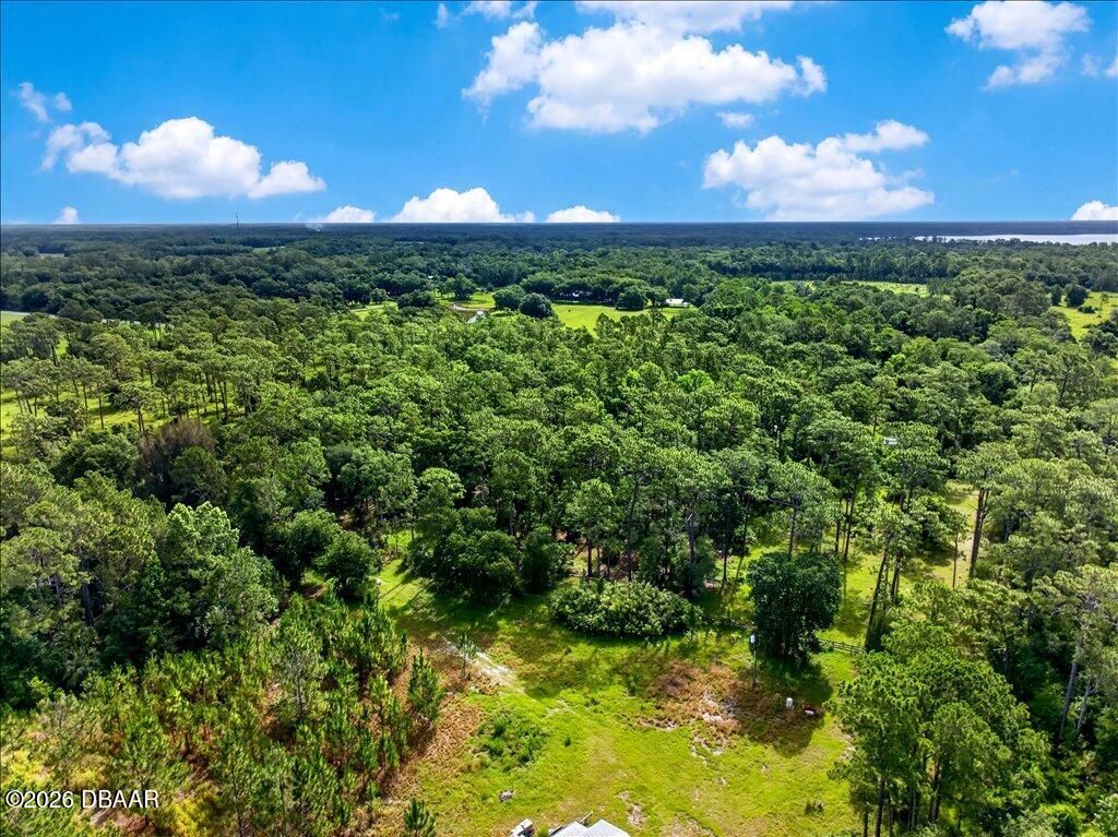 4600 Saddle Creek Run Road, New Smyrna Beach, FL 32168 Photo