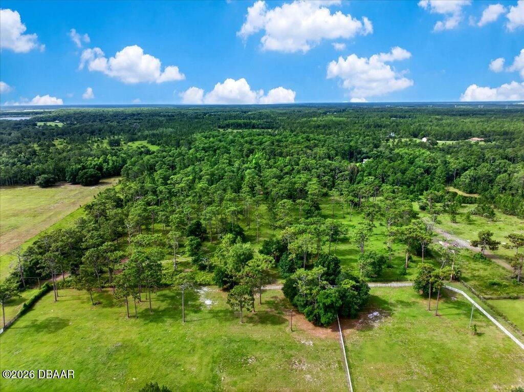 4600 Saddle Creek Run Road, New Smyrna Beach, FL 32168 Photo