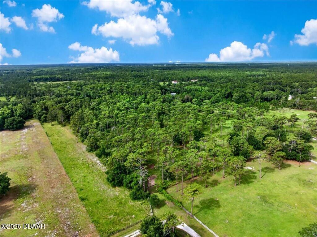4600 Saddle Creek Run Road, New Smyrna Beach, FL 32168 Photo