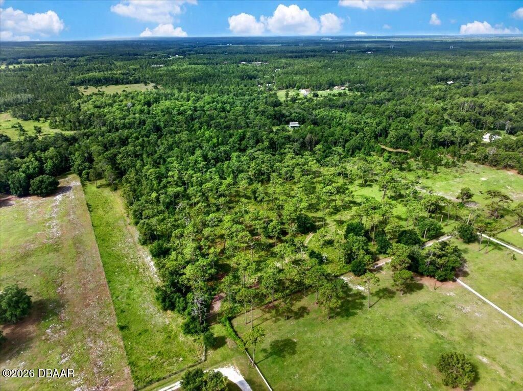 4600 Saddle Creek Run Road, New Smyrna Beach, FL 32168 Photo