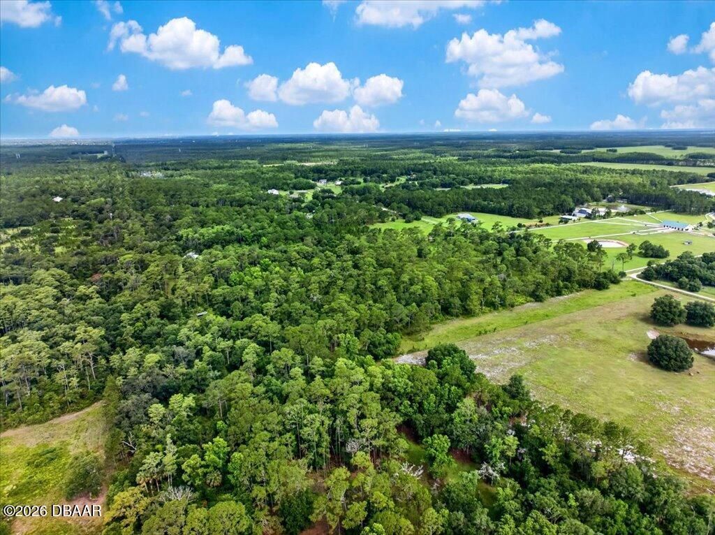 4600 Saddle Creek Run Road, New Smyrna Beach, FL 32168 Photo