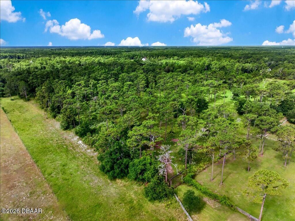 4600 Saddle Creek Run Road, New Smyrna Beach, FL 32168 Photo