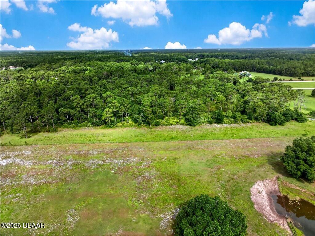 4600 Saddle Creek Run Road, New Smyrna Beach, FL 32168 Photo