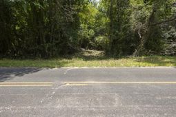 1 Joseph Lemon And Dingle Road photo 4