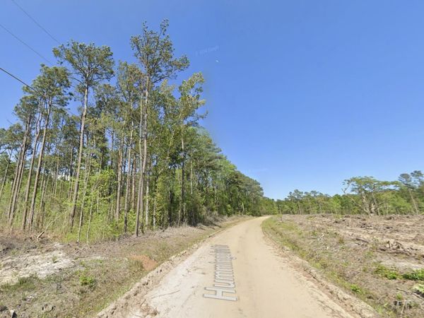 TBD Hummingbird Dr. , Georgetown, SC 29440