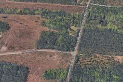Tbd Hummingbird Dr.  photo 4