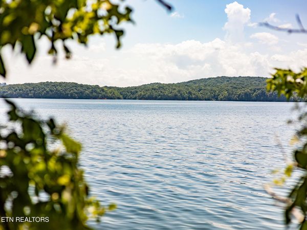 122 Thief Neck Drive, Rockwood, TN 37854