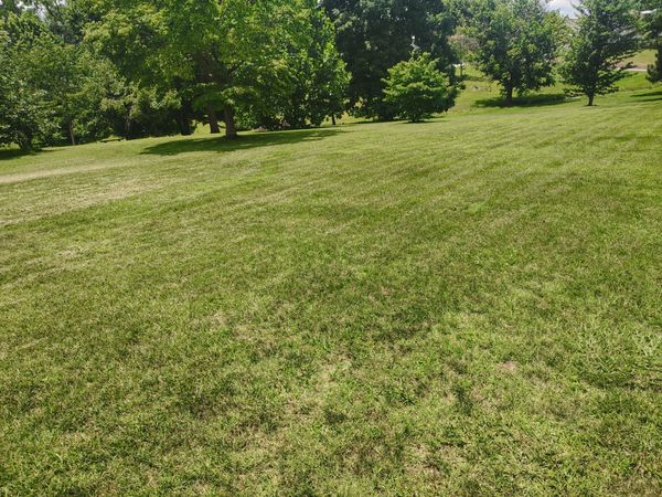 0 Short Street , Lafayette, TN 37083