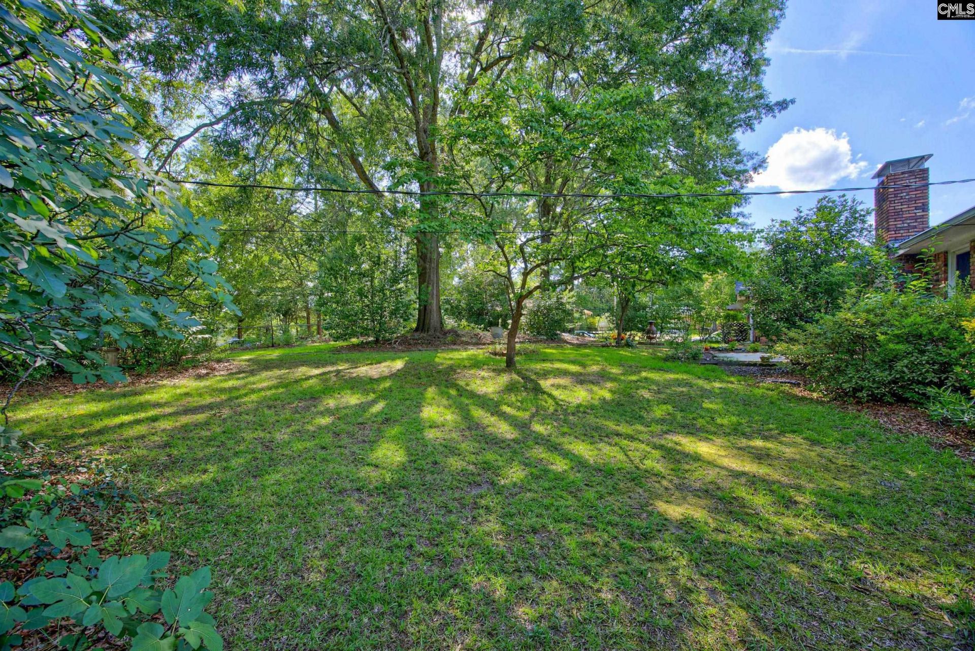 2429 Dutch Branch Road  Photo 36