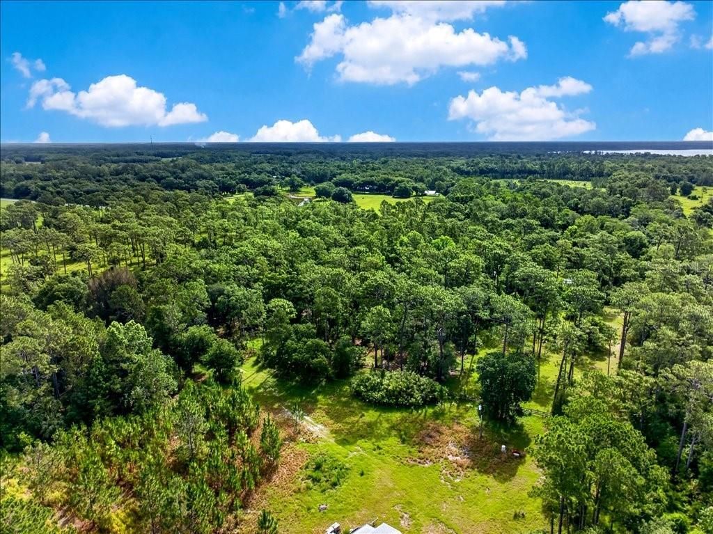 4600 Saddle Creek Run, New Smyrna Beach, FL 32168 Photo